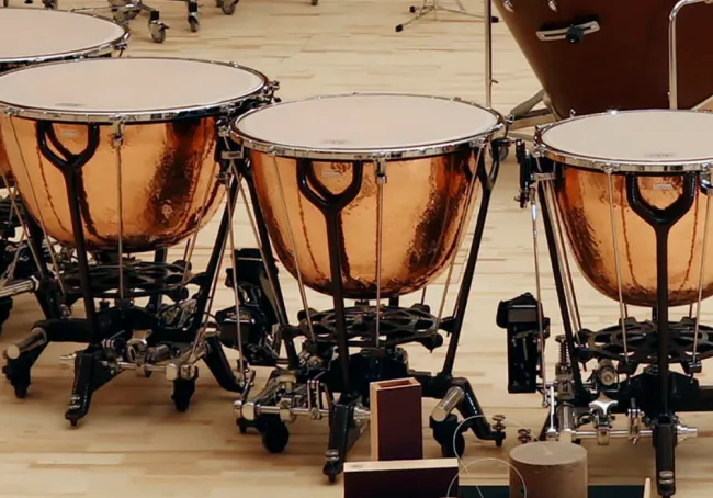 Vienna Symphonic Library Synchron Timpani I 