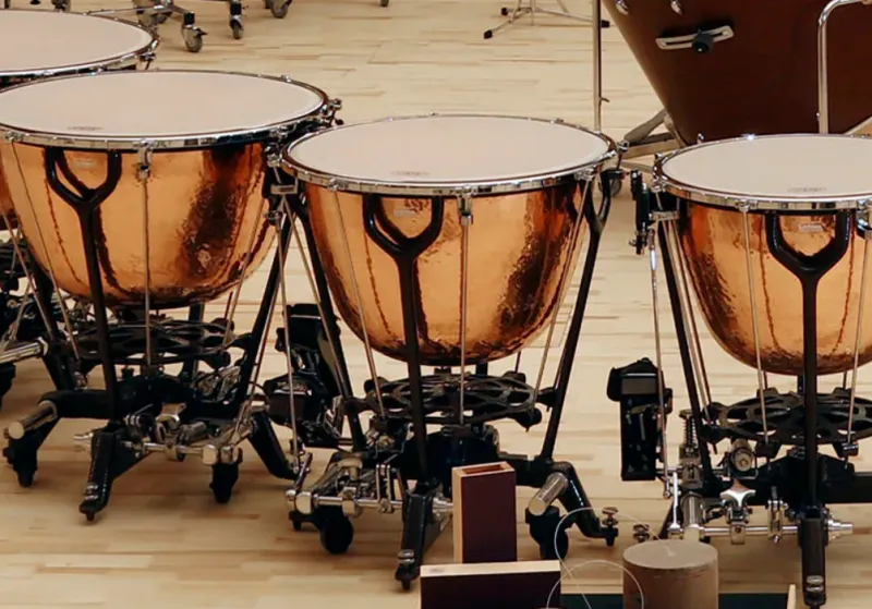 Vienna Symphonic Library Synchron Timpani I 