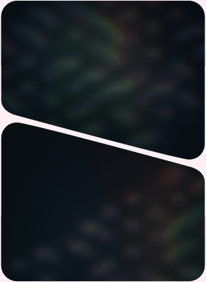 Flowers Bloom 1.1.2 植物花朵滕曼生长动画预设 + 使用教程