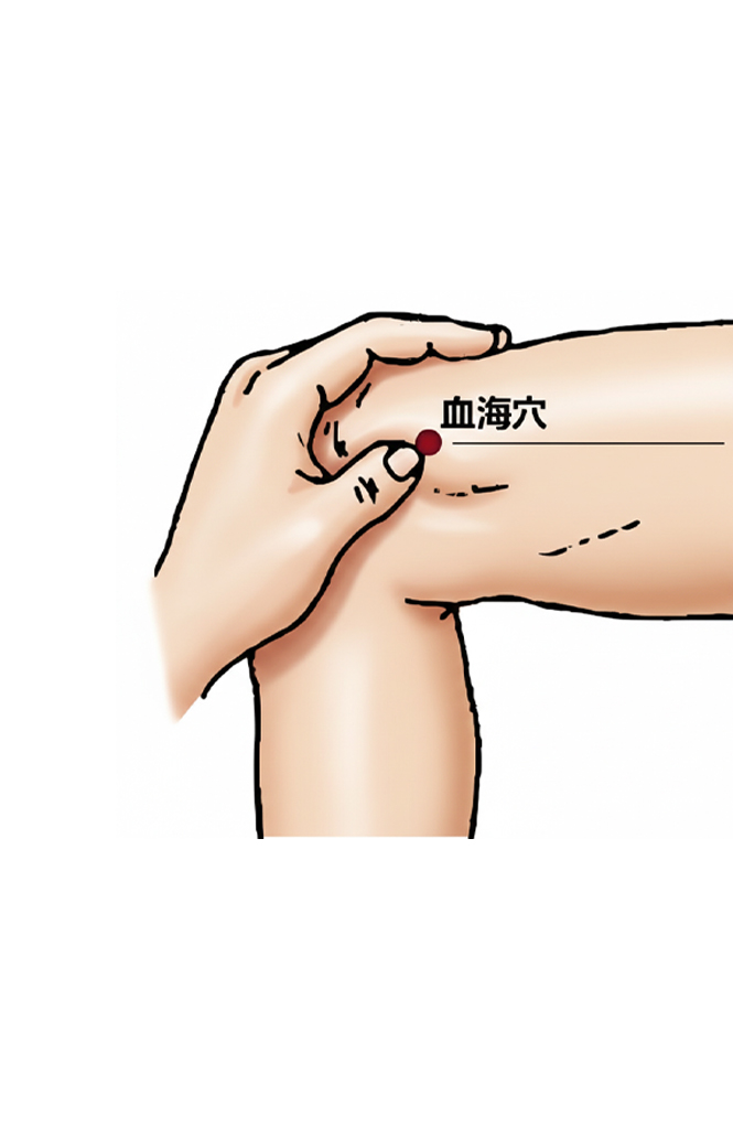 血海穴 / SP10 / xuehai / Sea of Blood / 足太阴脾经 · 络穴 / Xiangluo Point (Connecting Point