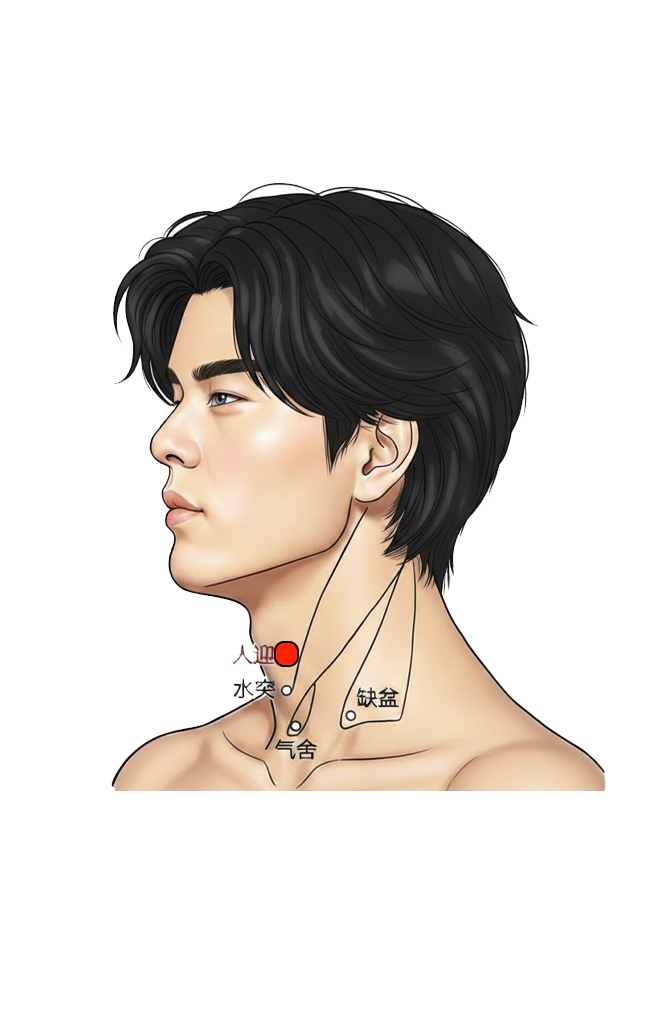 人迎穴 / ST-9 / Renying / Man’s Welcome / Welcome of Vital Qi