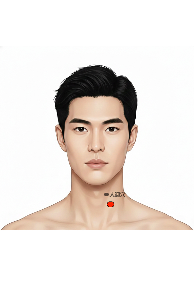 水突穴 / ST-10 / Shuitu / Water Prominence / Water Projection