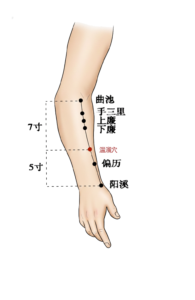 温溜穴 / LI-7 / Wenliu / Warm Flow Point /  郄穴  Xi-Cleft Point