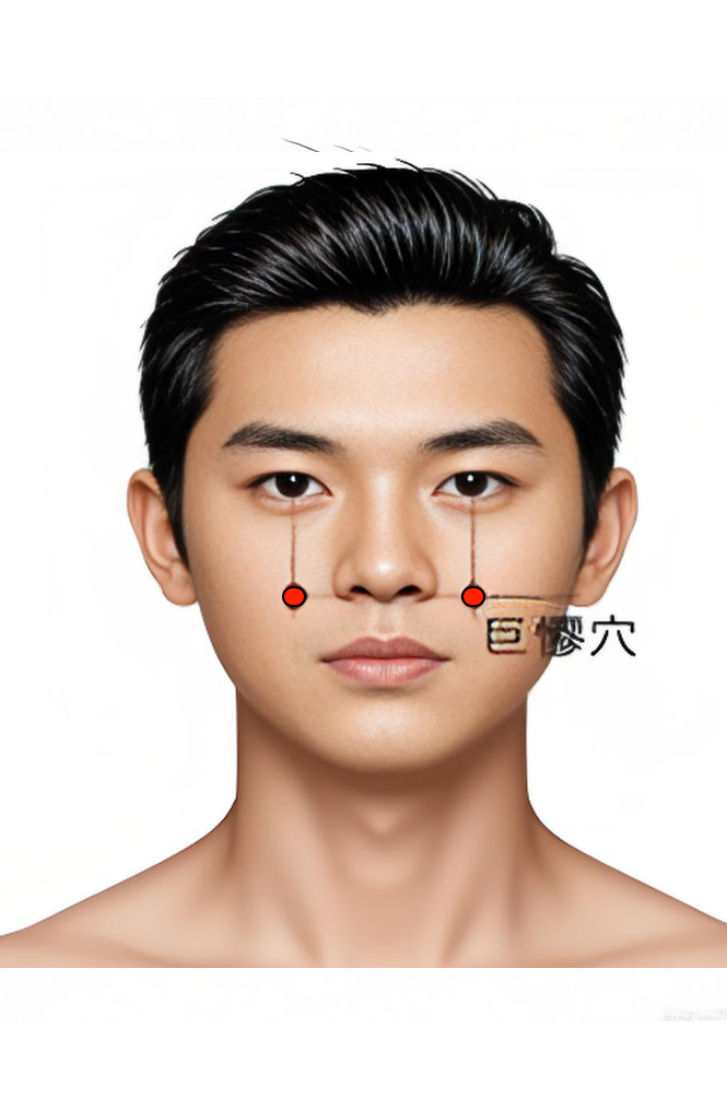 巨髎穴 /  ST-3 / Juliao / Great Crevice