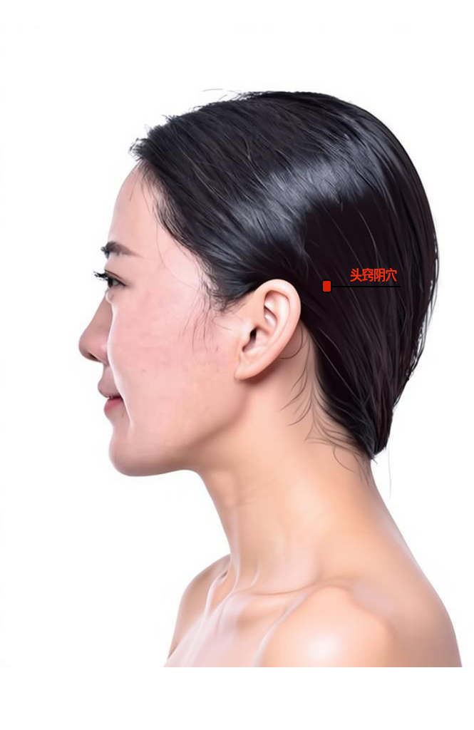 头窍阴穴 / GB-11 / touqiaoyin / Head Orifice Yin