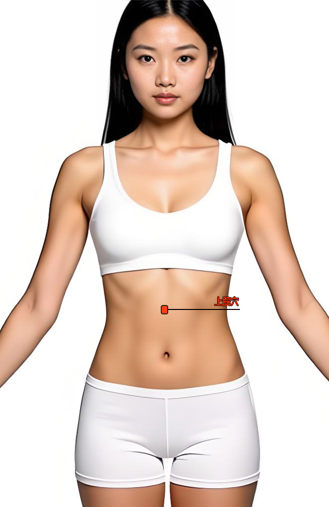 上脘穴 / RN-13 / shangwan / Upper Stomach