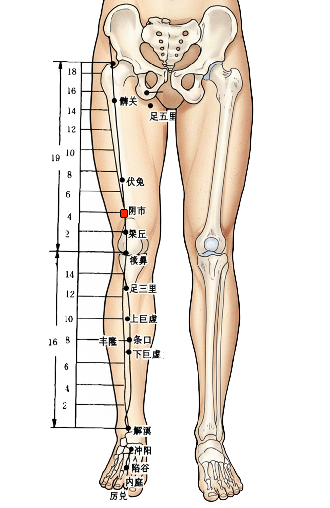 阴市穴 /  ST-33 / Yinshi / Yin Market
