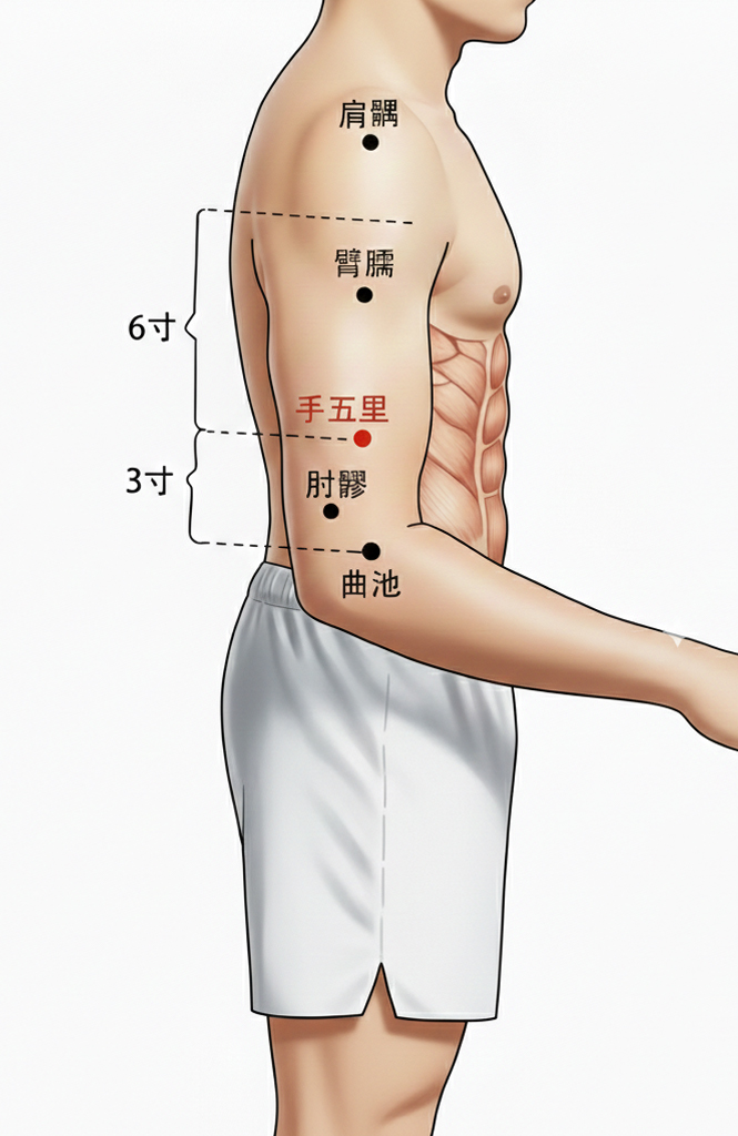 手五里穴 / LI-13 / Shouwuli / Arm Five Miles