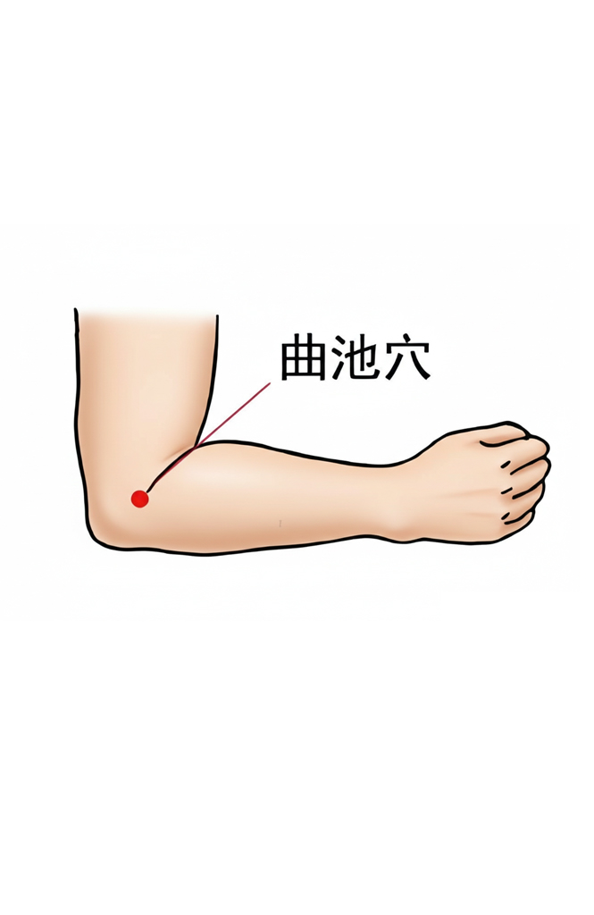 曲池穴 / LI-11 / Quchi / Crooked Pool